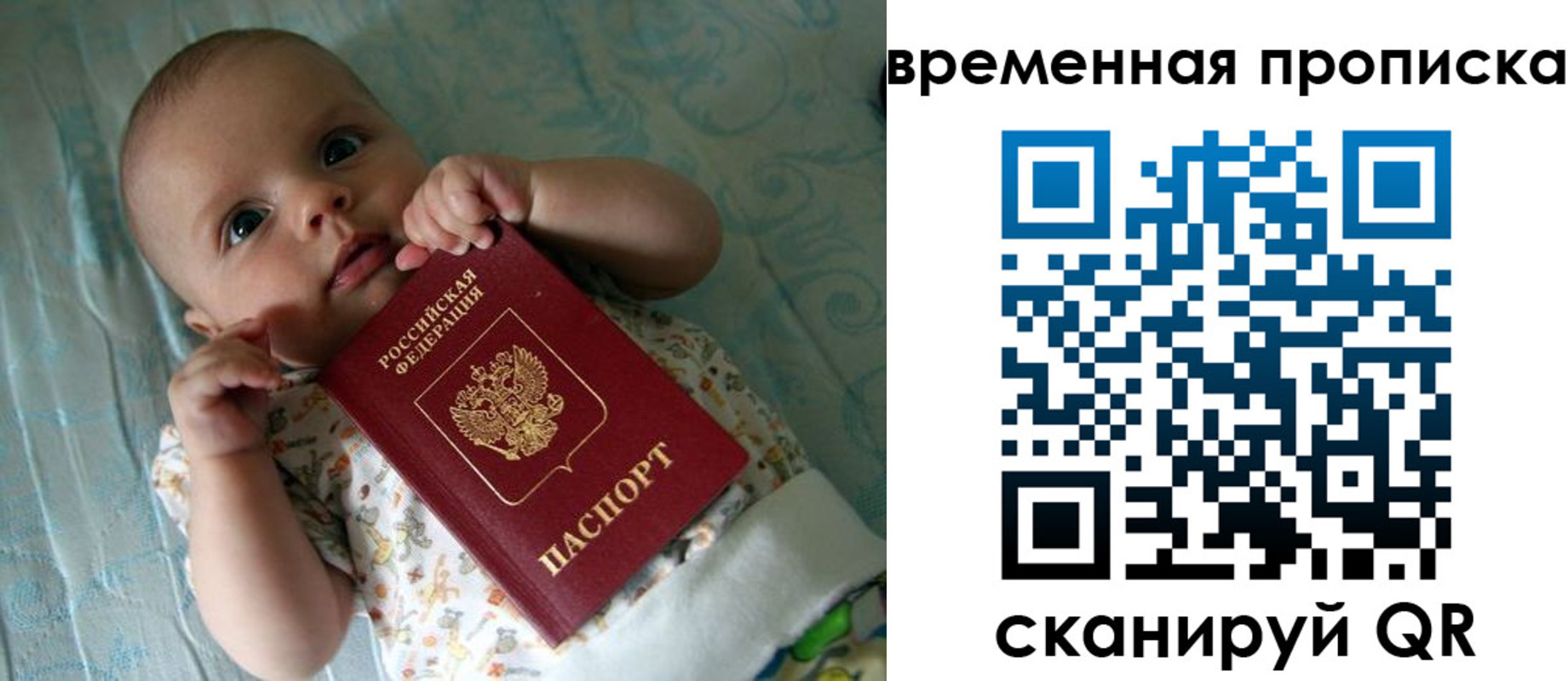 найти адрес прописки в Звенигороде